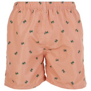 Men Swimming Trunks Beach Shorts SwimSuit Pockets Mesh Lining, Grasshopper, NWT